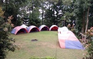 Camp 5_1